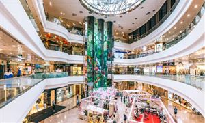kaiyun官网开云2024功能饮料行业市场现状分析与消费趋向(图3)