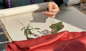 开云2024国内固体饮料未来的发展方向(图5)